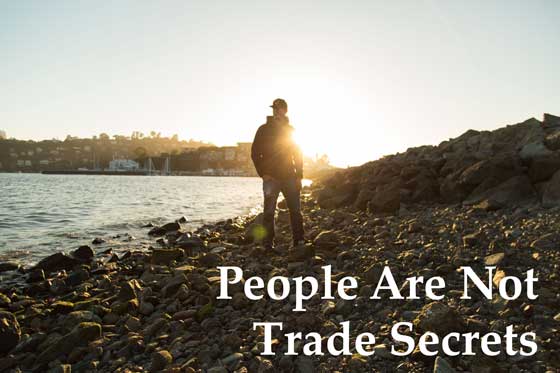 photo of man looking out over bay in article titled People are not trade secrets by Heather Bussing published on HRExaminer.com May 7, 2015. Photo credit Jordan McQueen via unsplash
