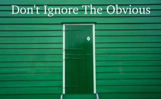 2019-04-18-HRExaminer-article-dr-todd-dewett-dont-ignore-the-obvious-right-in-front-of-you-photo-img-cc0-via-pexels-688336-544x335px.jpg