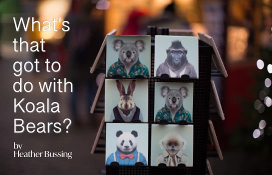 2020-08-05 HR Examiner article Heather Bussing Whats that got to do with Koala Bears stock photo img cc0 by ozgu ozden IZMx56m2pUI unsplash 544x351px.jpg
